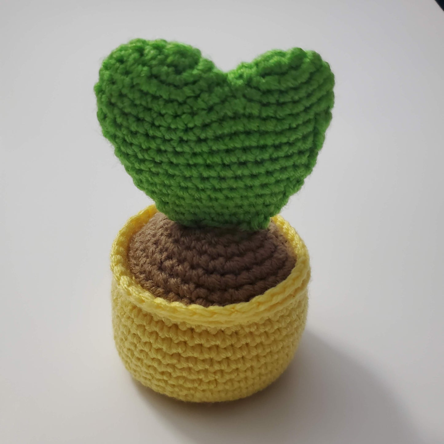 Heart Succulent