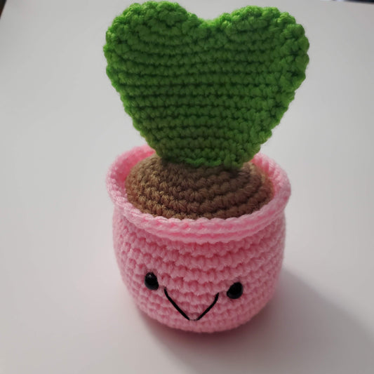 Heart Succulent